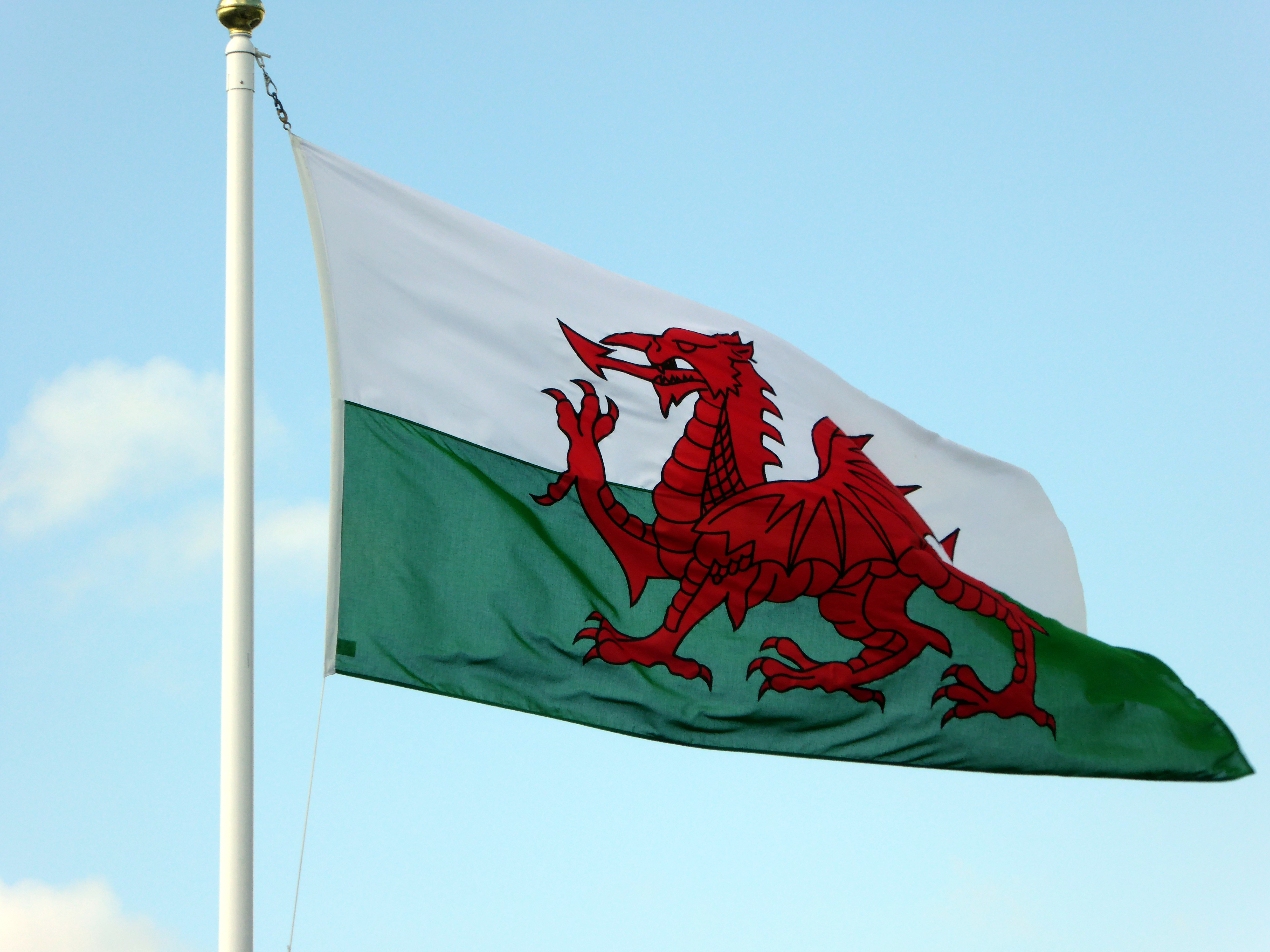 Welsh. Флаг Уэльса. Wales Cardiff флаг. Национальный флаг Уэльса. Валлийский дракон флаг Уэльса.