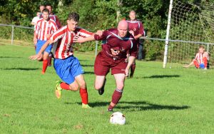 36485487860_bb2f249e3e_o