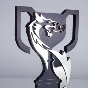 50080206_2236115113379805_4006334116340432896_n Cropped