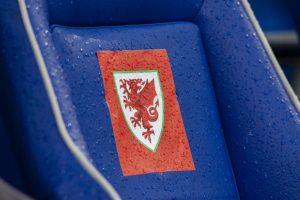 Cardiff, Wales. 9th Sept 2019. Wales v Belarus.