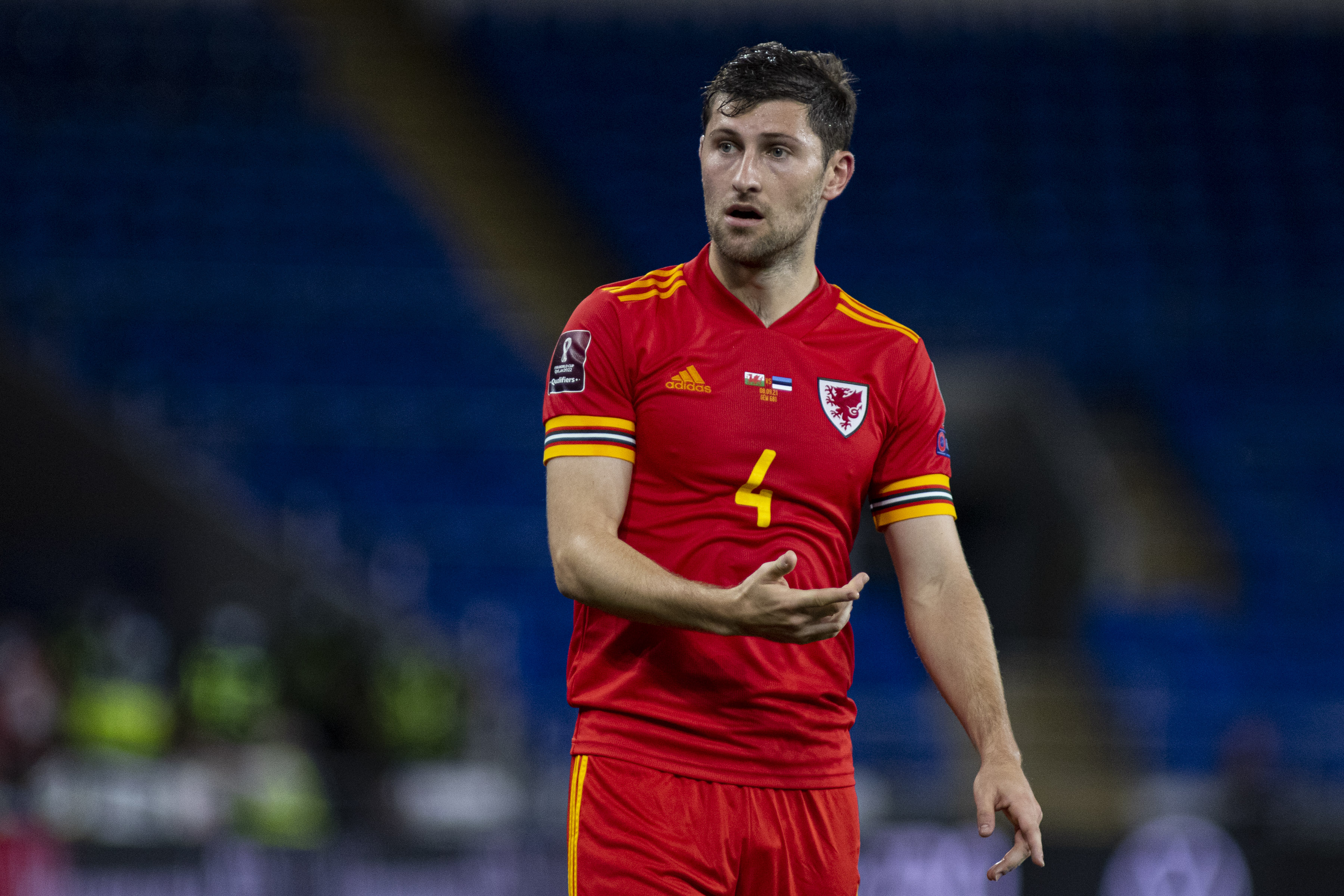 Wales defender Ben Davies in action