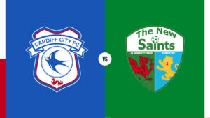Cardiff City v TNS badges