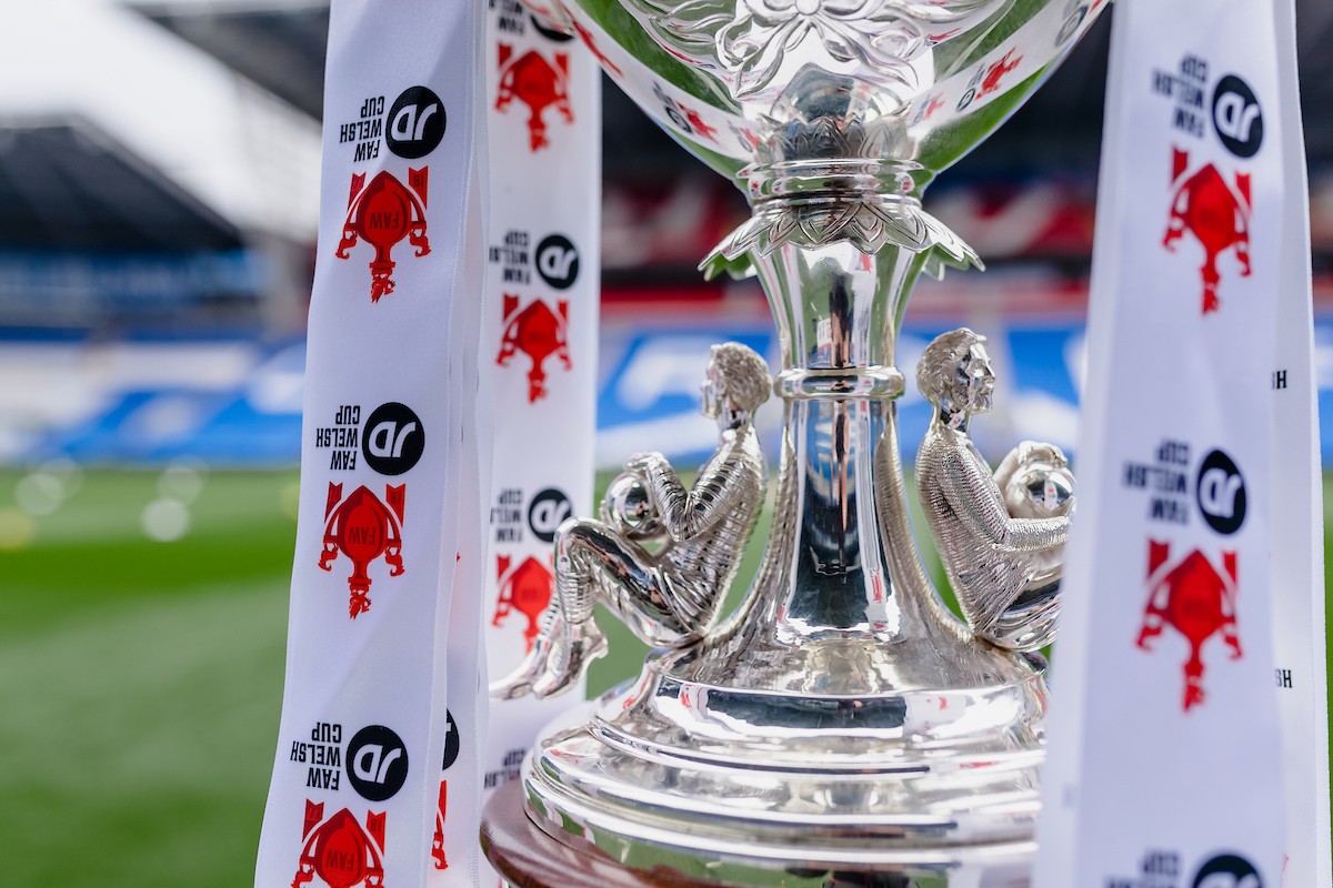 A detailed view of the Welsh Cup at the Cardiff City Stadium