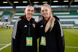 International Football, Republic of Ireland V Wales, Dublin, Ireland, UK.