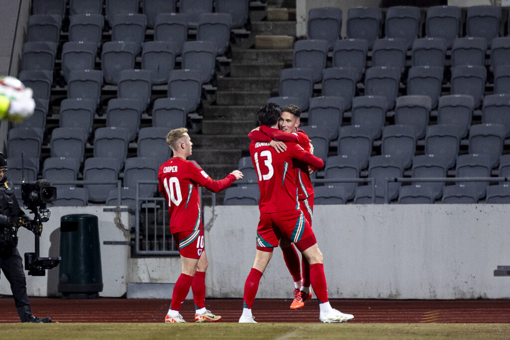 Harry Wilson celebrates with his teammates after scoring for Wales against Iceland