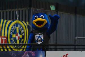 Haverfordwest County's mascot at a Cymru Leagues Premier match